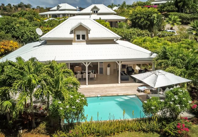 villa à Le Vauclin - Majestic Palm - Villa de rêve les pieds dans l'eau